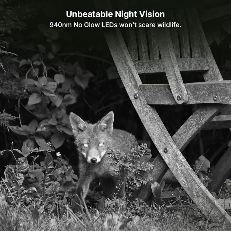 GardePro E8 2.0 WiFi Trail Camera (Non-Cellular), 4K Video & 64MP Photo, 165ft Long-Range Dual Antennas, Live View, No-Glow IR Night Vision, Motion Detection - Image 4